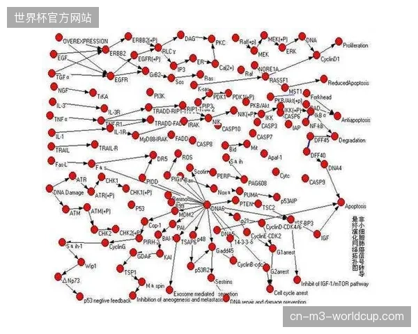 奥林匹克转播中心SRT协议接入方案消解了多国复杂网络环境下的同步压力